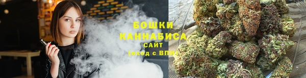 PSILOCYBIN Баксан