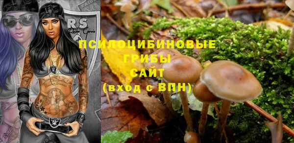 спиды Балахна